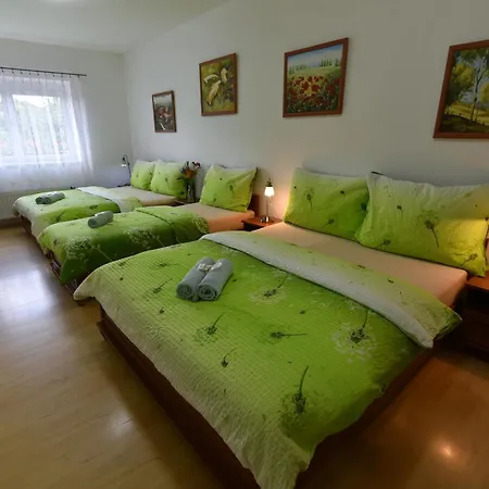 Apartmany Branickov *